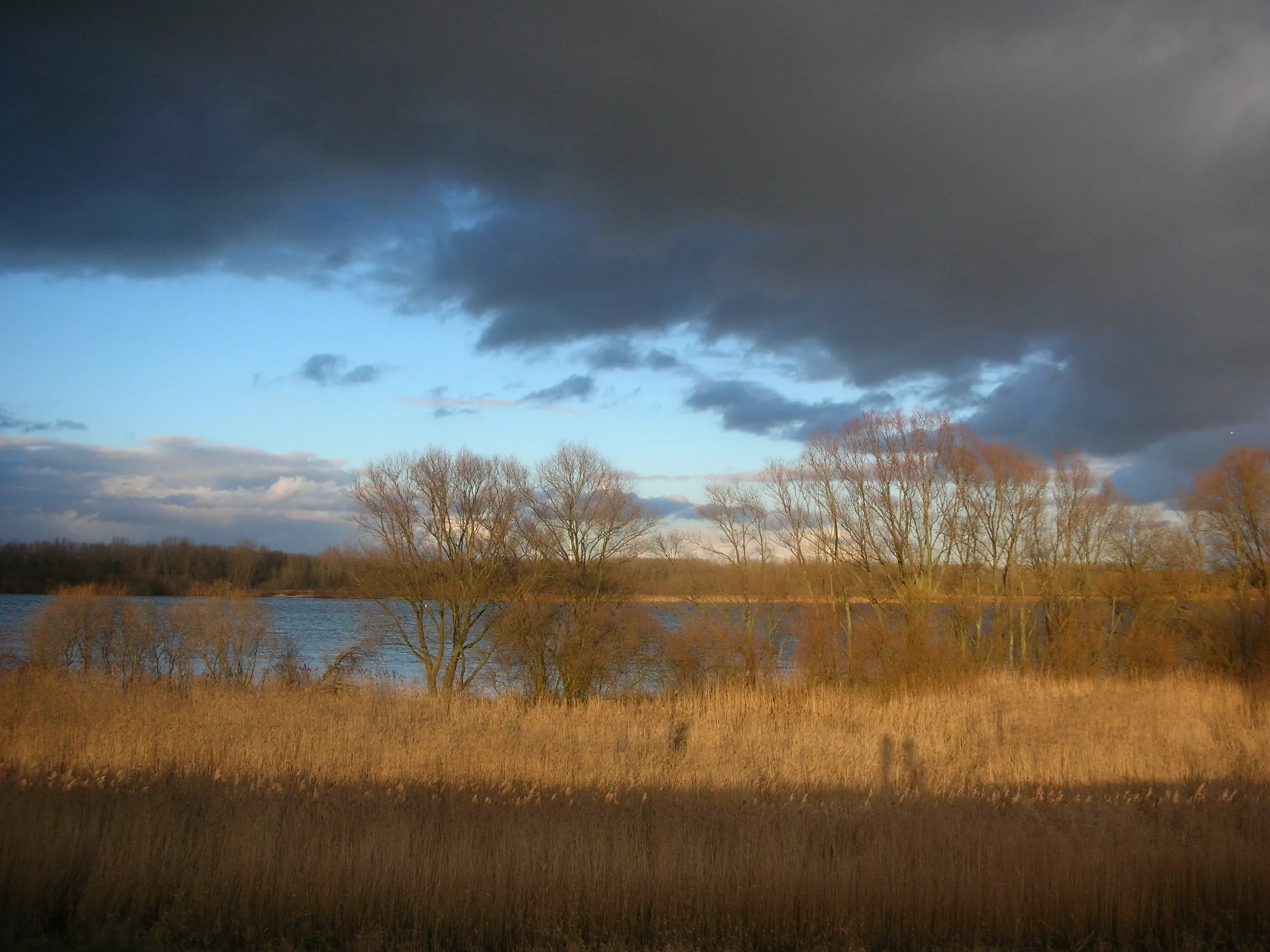 Elbmarsch bei Buxtehude